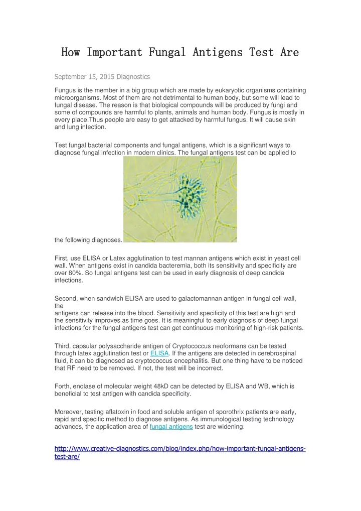 how important fungal antigens test