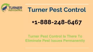 Turner Pest control