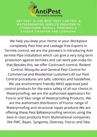 Commercial Pest Control - Antipest Solutions