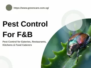Pest Control For F&B