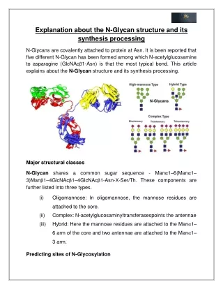 Explanation about the N-Glycan structure and its synthesis processing