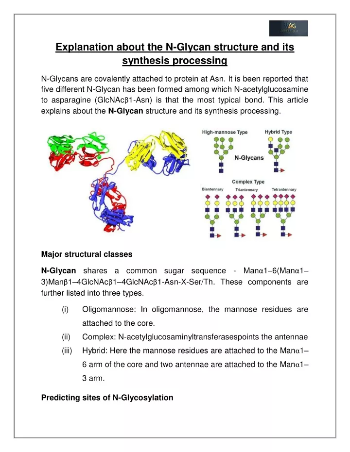 explanation about the n glycan structure