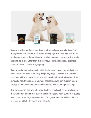 every owner knows that senior dogs need special