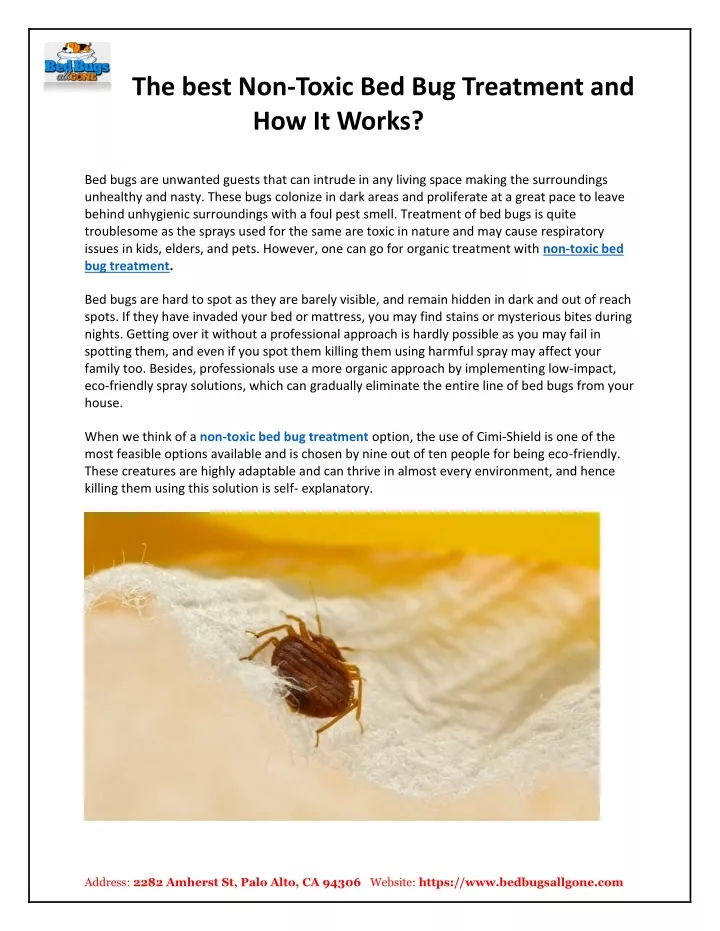 the best non toxic bed bug treatment