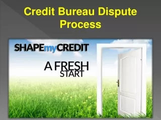 Credit Bureau Dispute Process