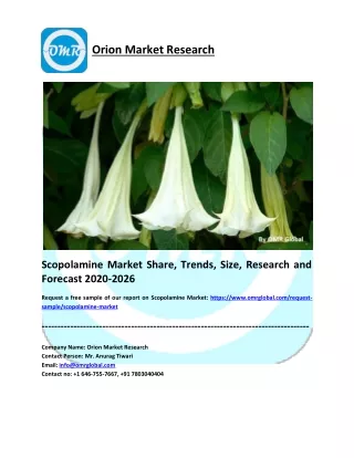 Scopolamine Market Research and Forecast 2020-2026
