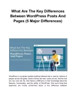 What Are The Key Differences Between WordPress Posts And Pages (5 Major Differences) - slide 1