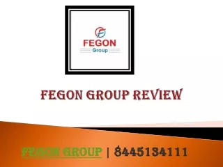 Fegon Group Review