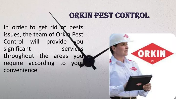 orkin pest control orkin pest control