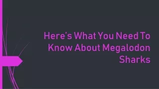 here s what you need to know about megalodon sharks