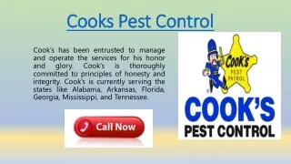 fight against pest with cooks pest control