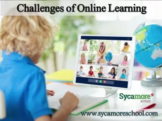 Tips for Dealing with the Challenges of Online Learning