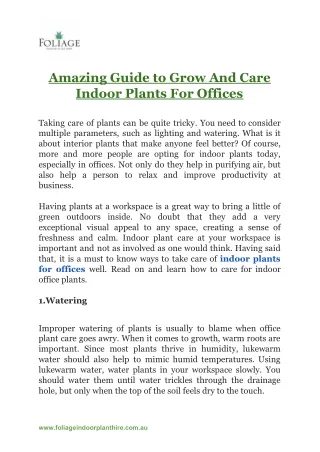Amazing Guide to Grow And Care Indoor Plants For Offices