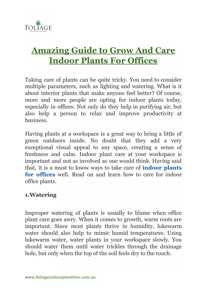 amazing guide to grow and care indoor plants