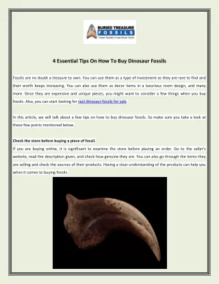 4 essential tips on how to buy dinosaur fossils