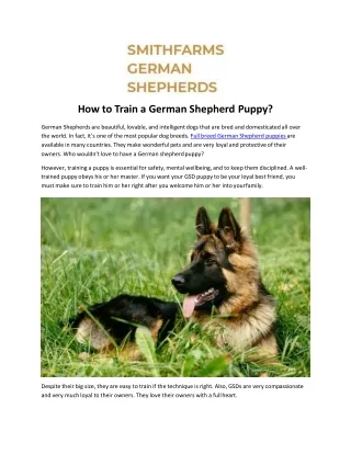 How to Train a German Shepherd Puppy?