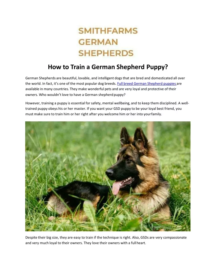 how to train a german shepherd puppy german