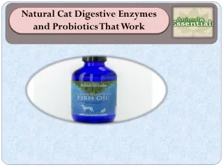 Natural Cat Digestive Enzymes and Probiotics That Work