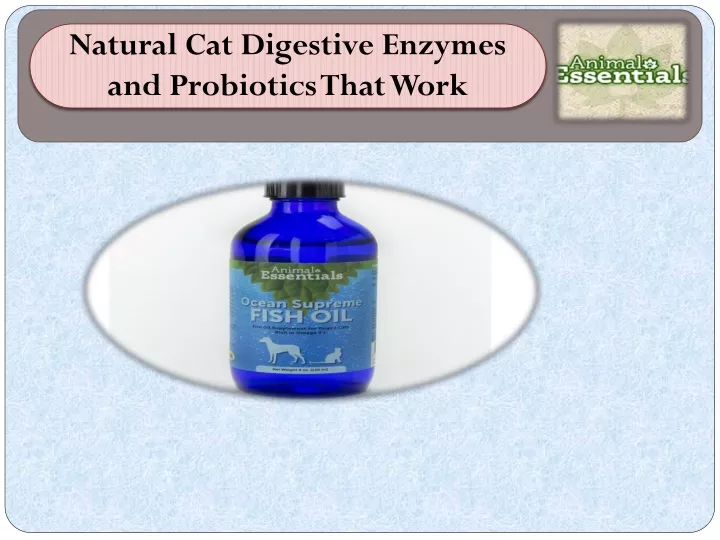 natural cat digestive enzymes and probiotics that