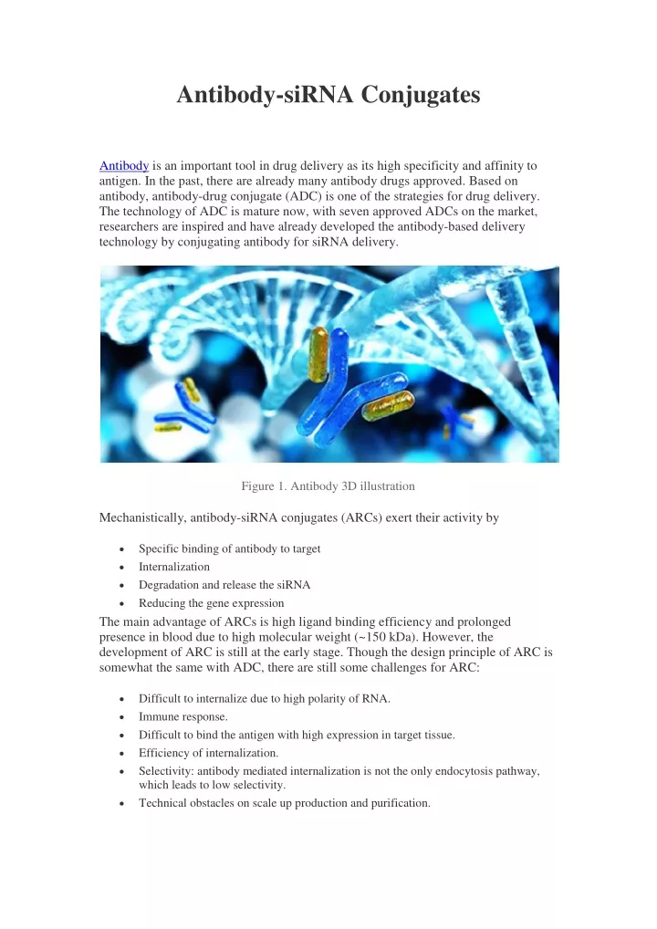 antibody sirna conjugates