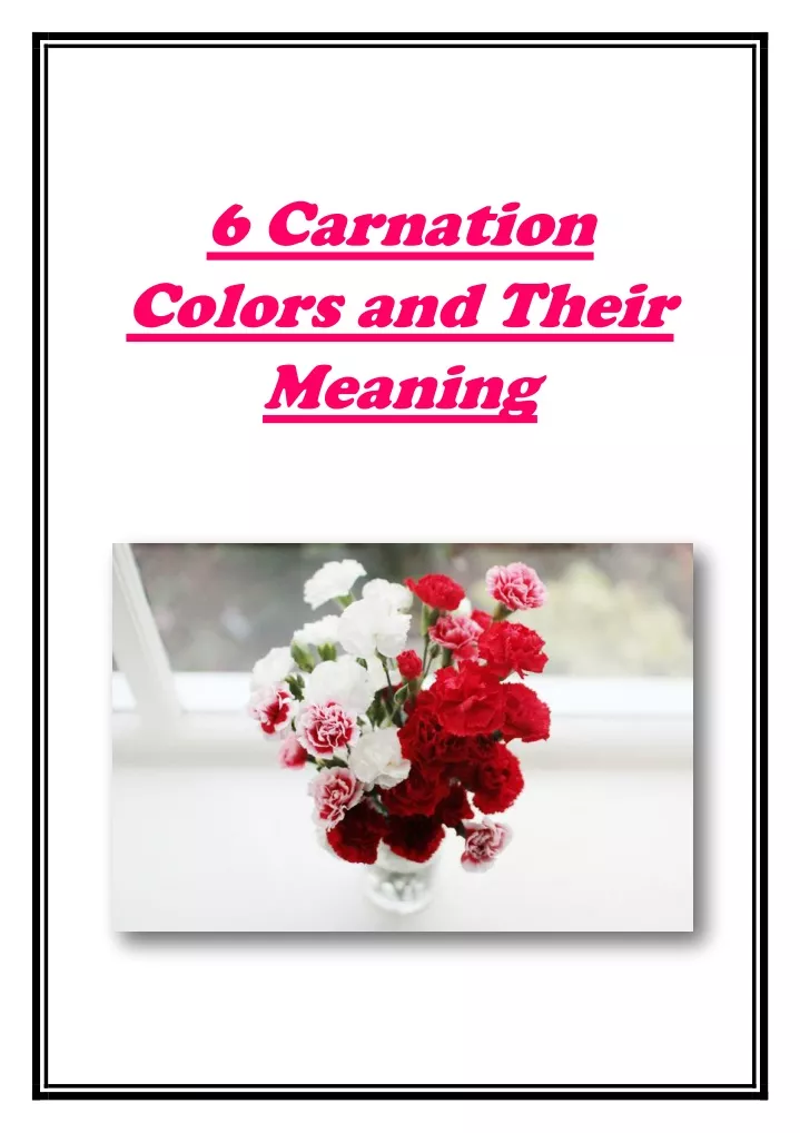 6 carnation colors and their meaning
