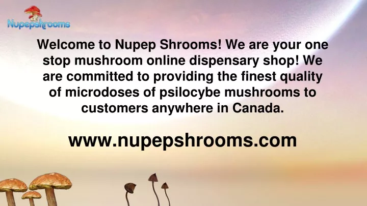 welcome to nupep shrooms we are your one stop