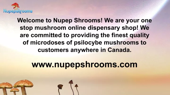 welcome to nupep shrooms we are your one stop