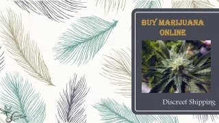 Buy Marijuana Online Germany