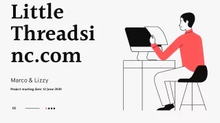 little threadsinc.com SEO case Study