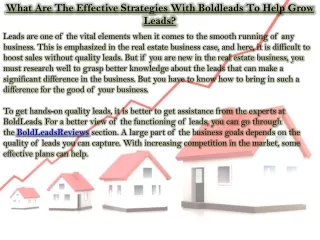 what are the effective strategies with boldleads