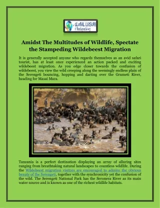 Amidst The Multitudes of Wildlife, Spectate the Stampeding Wildebeest Migration