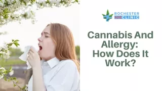 Cannabis And Allergy-How Does It Work