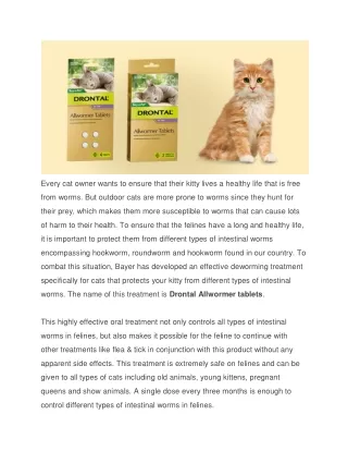 every cat owner wants to ensure that their kitty