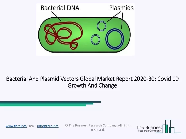 bacterial and plasmid vectors global market report 2020 30 covid 19 growth and change