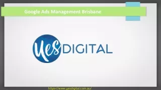 Google Ads Management Brisbane