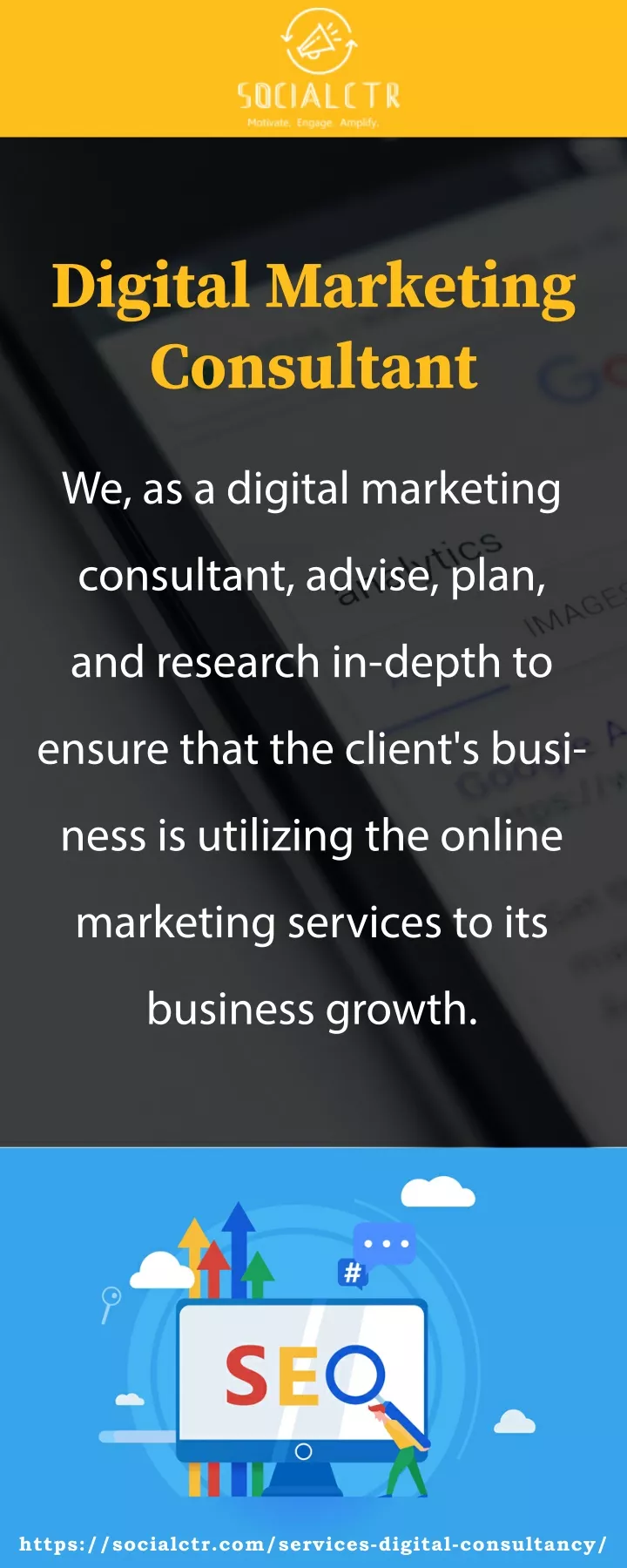 digital marketing consultant