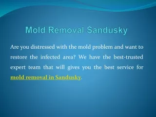 Mold Removal Sandusky