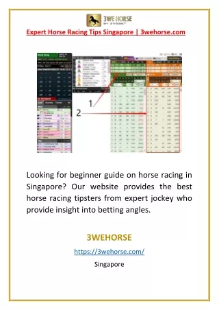 Expert Horse Racing Tips Singapore | 3wehorse.com