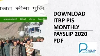 Download ITBP PIS Monthly Payslip 2020 pdf