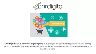 How eCommerce Digital Agency Can Help You