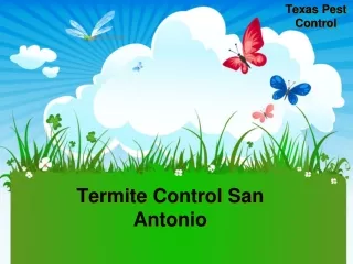 Termite Control San Antonio-Satxpest.com