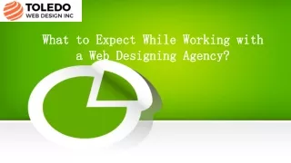 What to Expect While Working with a Web Designing Agency?