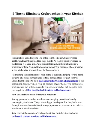 5 tips to eliminate cockroaches in your kitchen