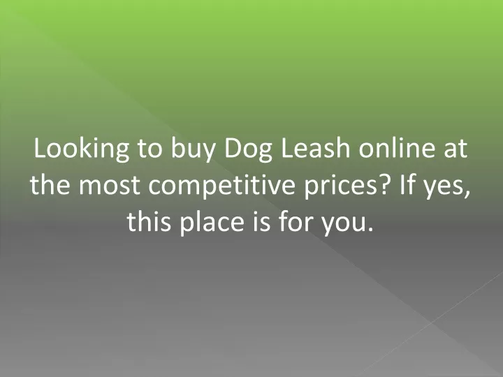 looking to buy dog leash online at the most