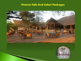 Victoria Falls And Safari Packages