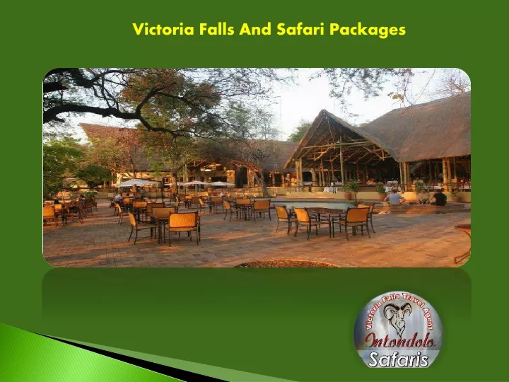 victoria falls and safari packages
