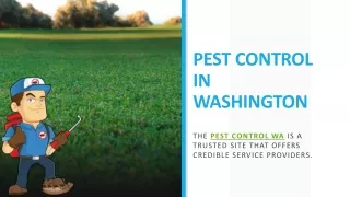 pest control in washington