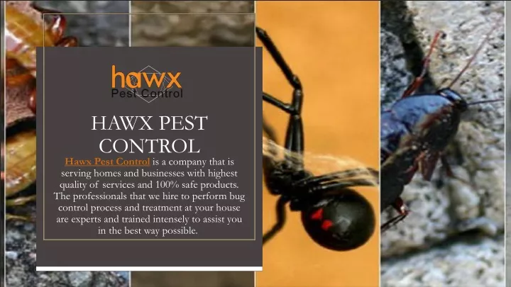 hawx pest control