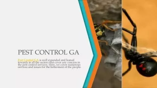 pest control ga