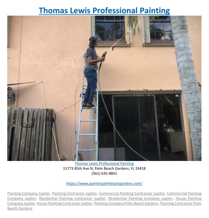 thomas lewis professional painting